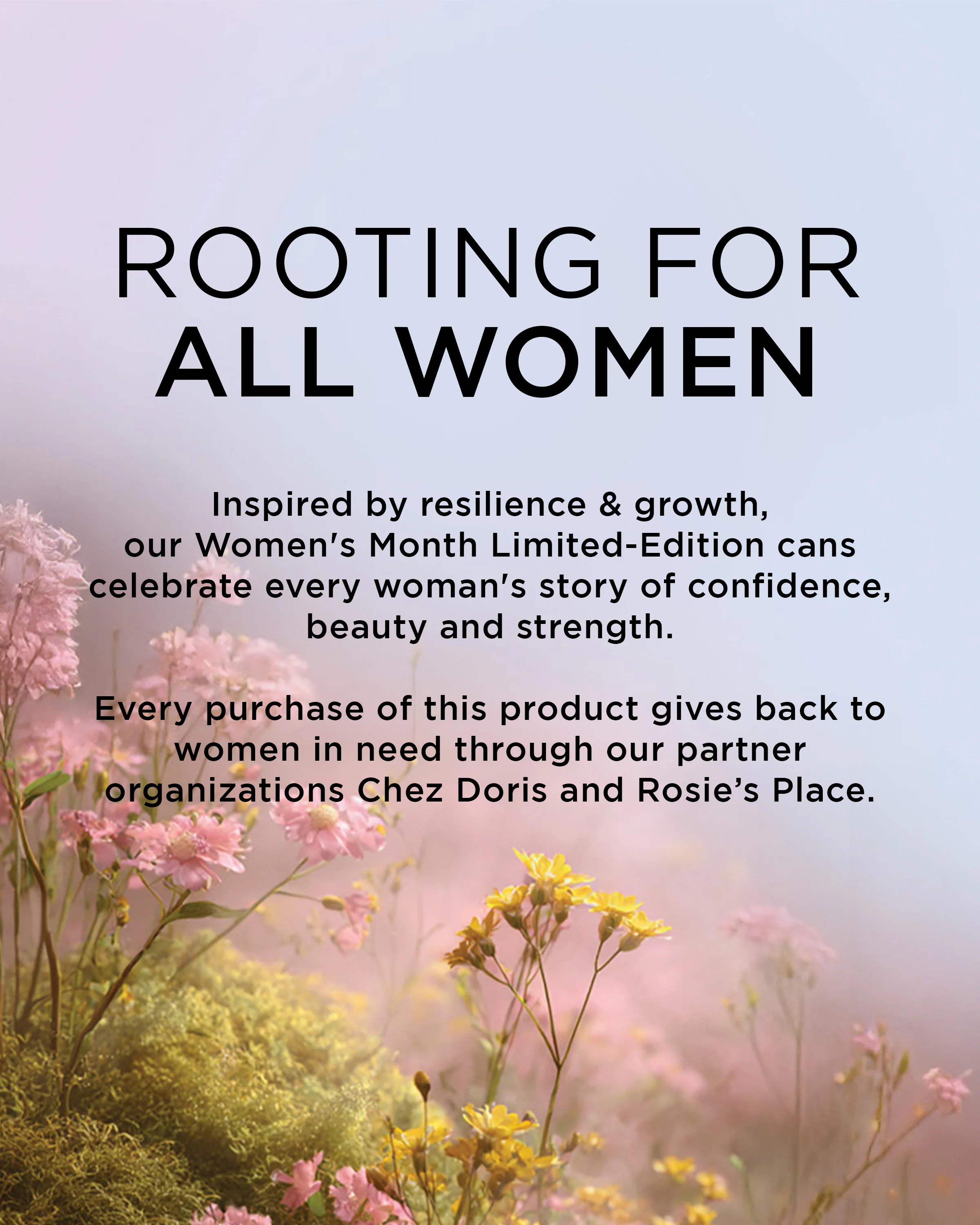 Women's Day • Bailey's Volume Bundle - Image 9